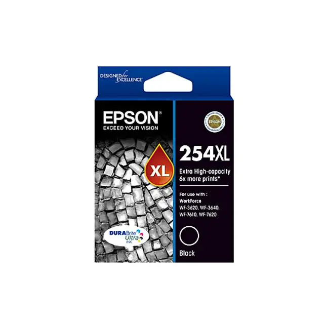 Epson 252 High-Yield Black Ink Cartridge 1