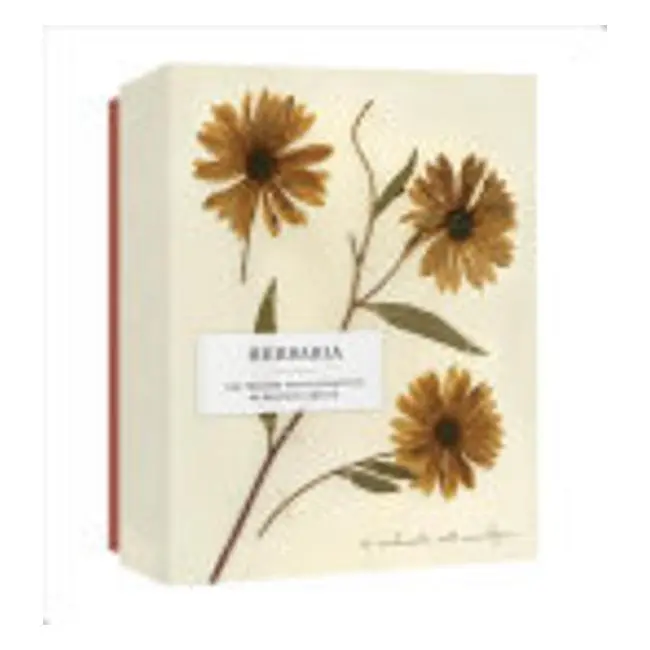 Herbaria Notecard Set: 12 Pressed Plant Art Cards Inspired By Beatrix Farrand 1