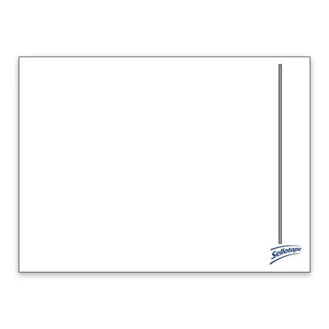 Sellotape Clear Adhesive Labels – 115 × 155Mm, Bulk Box (1000) 1